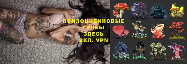 марихуана Белокуриха