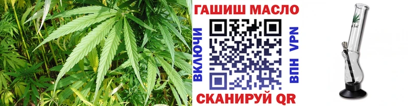ТГК концентрат купить сайты Нефтекумск